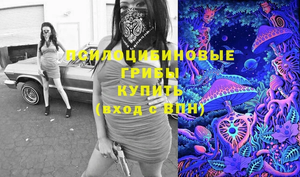 мдпв Костерёво