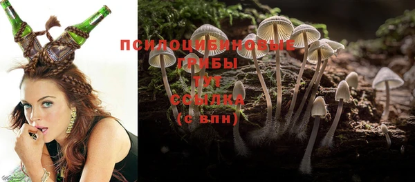 мяу мяу мука Гатчина