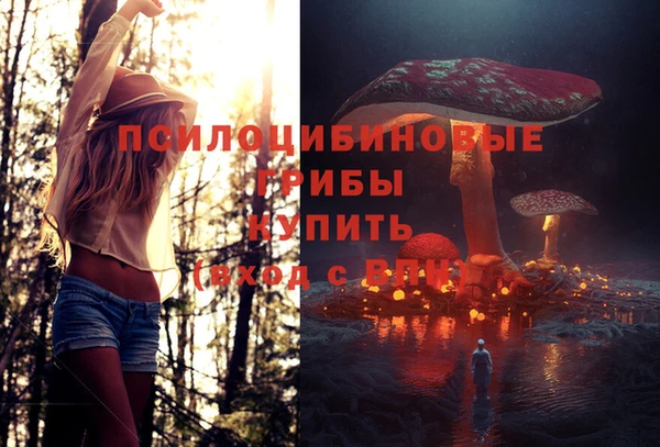 спиды Краснослободск