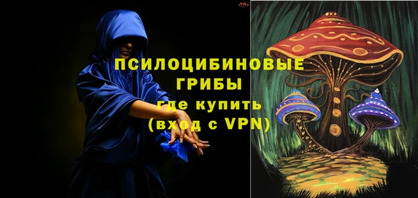 PSILOCYBIN Коряжма