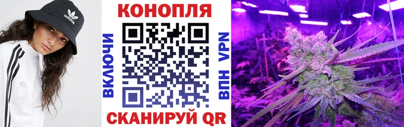 нарко площадка наркотические препараты  Костерёво  Бошки Шишки тримм  где купить наркоту 